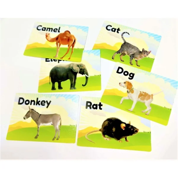 Flash Card-Animal | Plastic | Educational Kids Collections>Toys | 6+ Months - Image 4