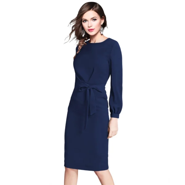 Women's Knitting stretchable Solid Round Neck Full Sleeve Dress (Blue) - Image 5