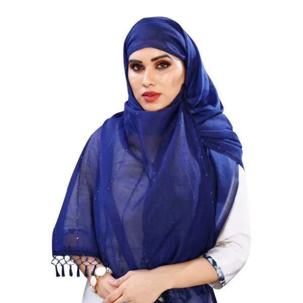 Women's Cotton Silk Strips Printed Dupatta (Blue, Length:2-2.4 mtr) - Image 2