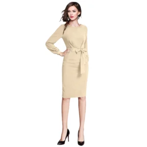 Women's Knitting stretchable Solid Round Neck Full Sleeve Dress (Beige ) - Image 2