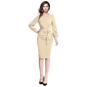 Women's Knitting stretchable Solid Round Neck Full Sleeve Dress (Beige ) - Image 6