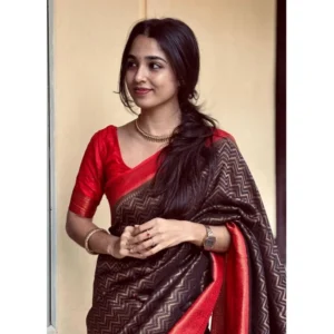 Women's Silk Printed Saree With Unstitched Blouse 5.5Mtr (Brown) - Image 3