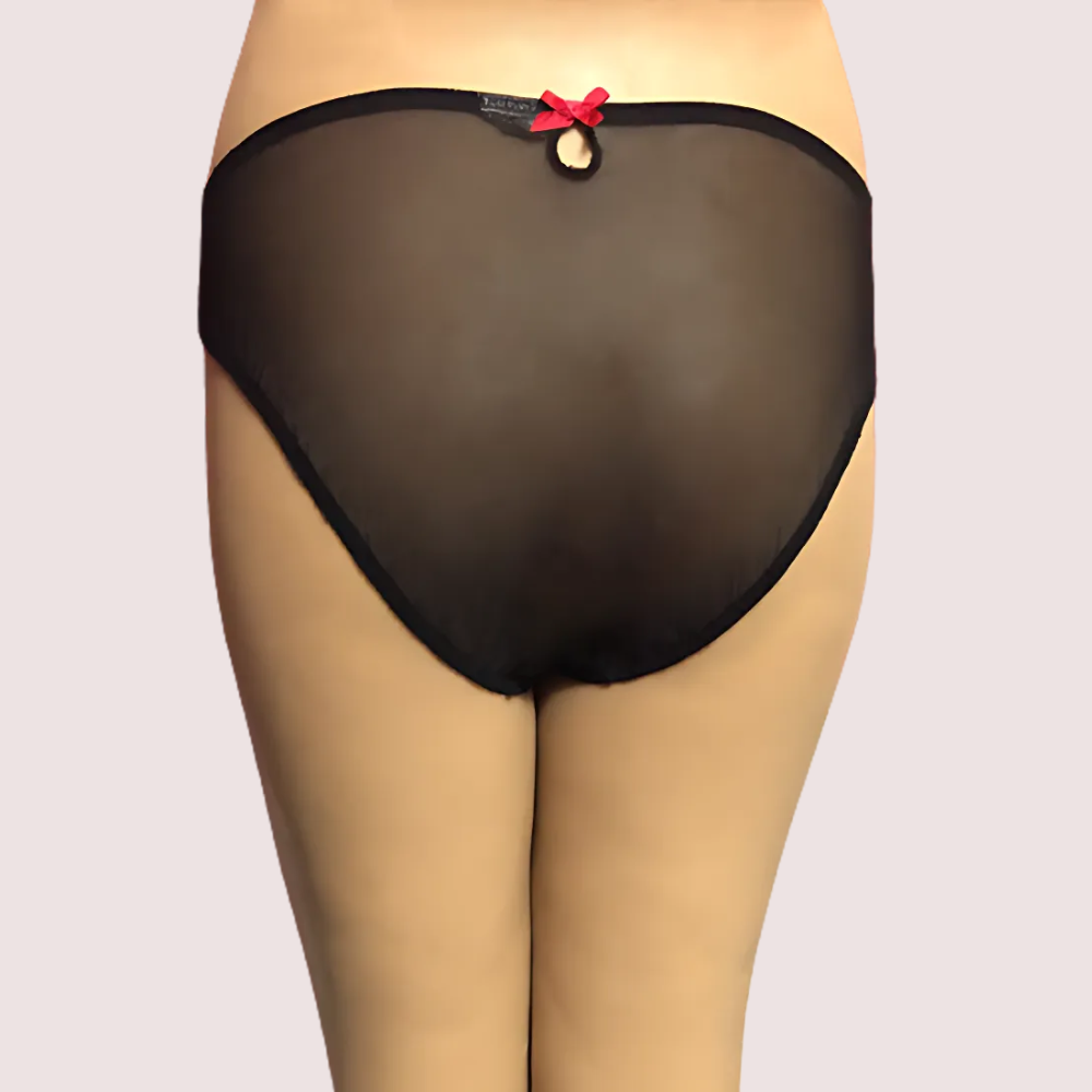 Netted Sexy Keyhole Back Hipster Panty - Image 2